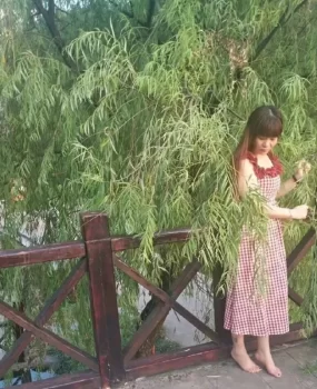 株洲熟女姐姐