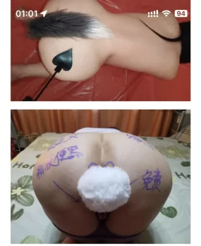 沈阳sm大熟女